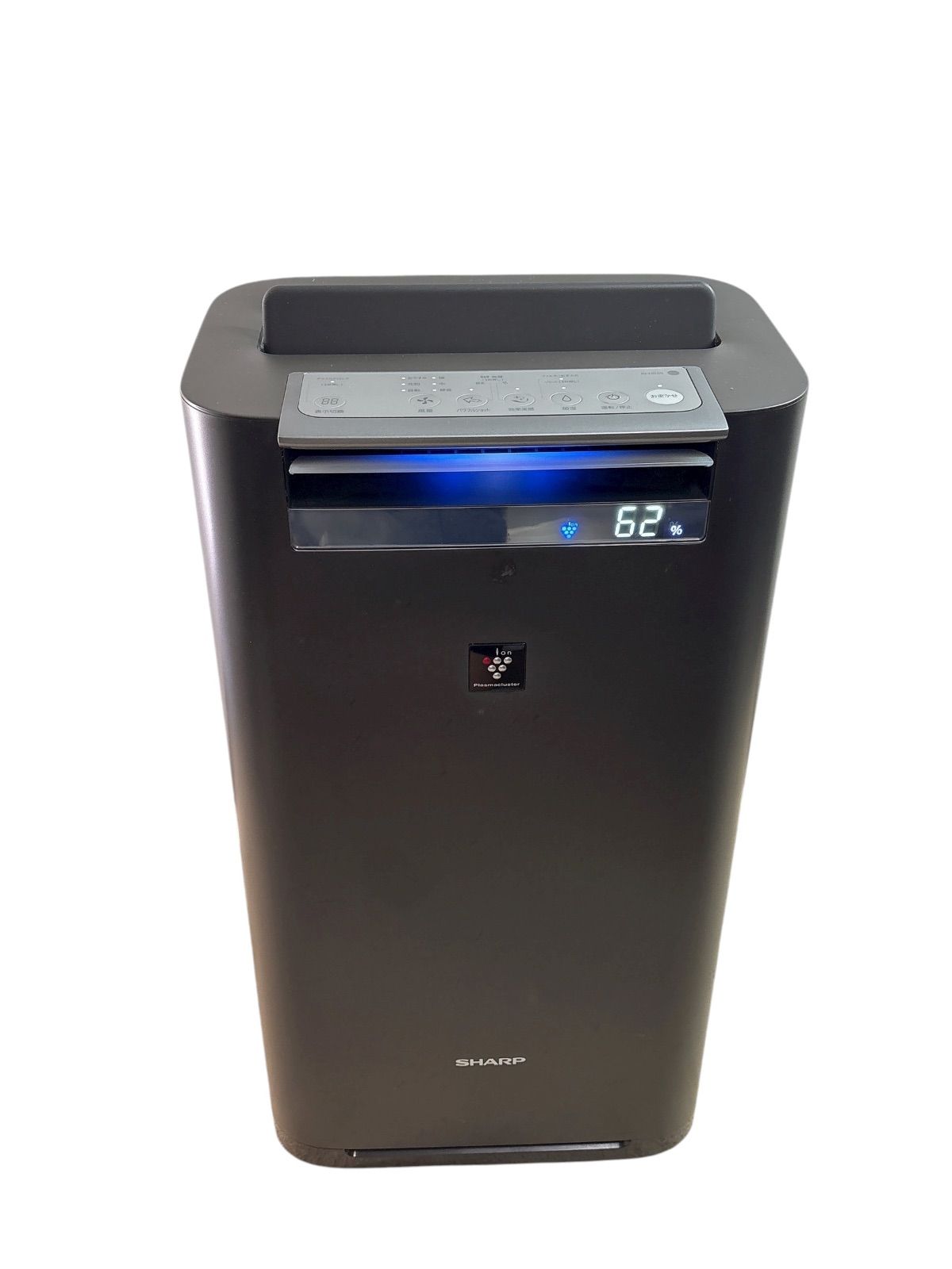 真作/山本紅雲/白梅に鴬図/ウグイス/花鳥図/春/掛軸/名家伝来/AK-447