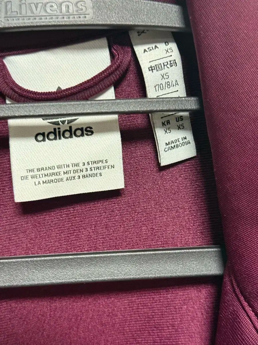 バーガンディ xs