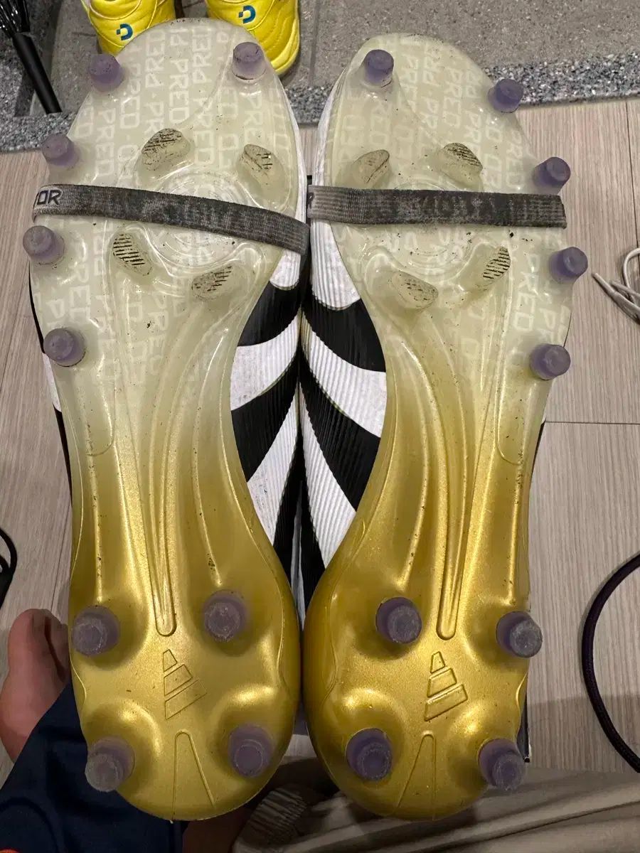 アディダス プレデター FT AG 260 LLC-HASEGAWATOSO_COM