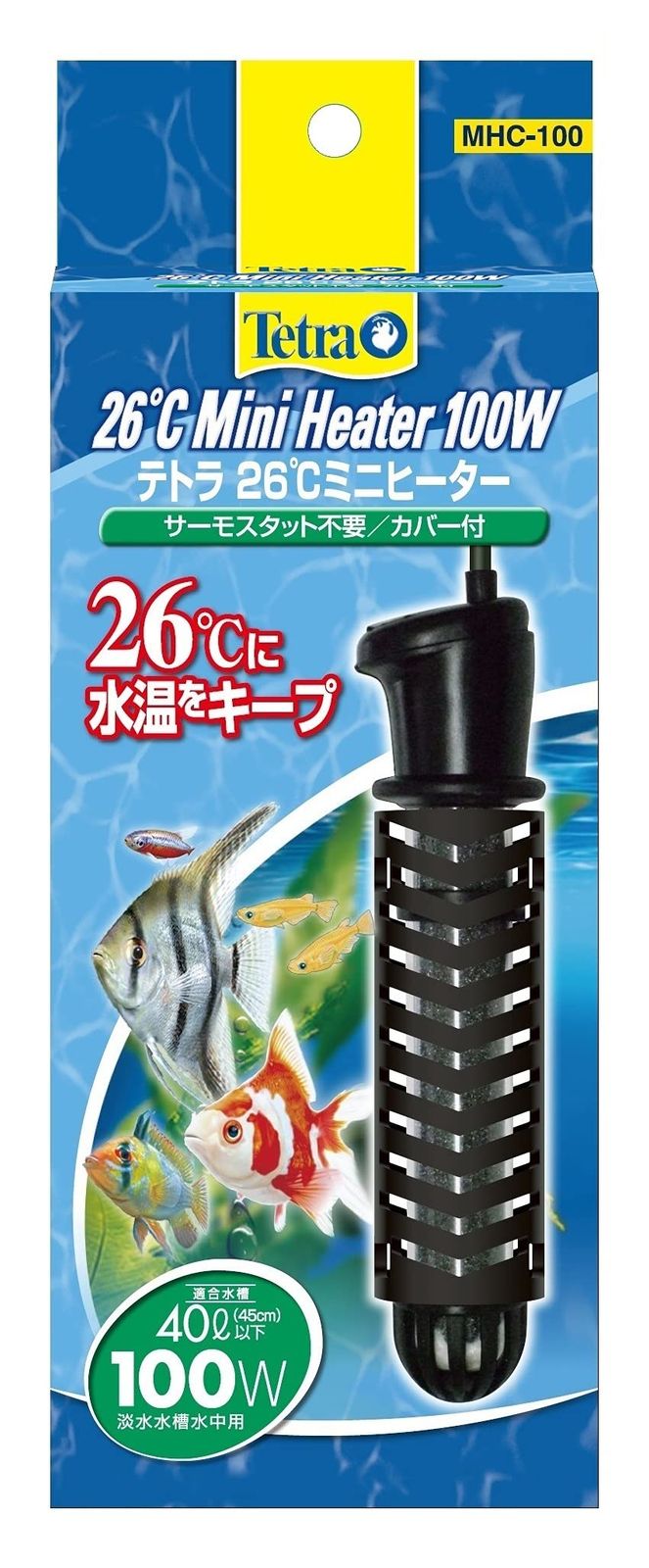 【tama15】専用・緑360gと肌(B珈琲)300g≪リクエスト特割特価≫ 飲料・酒 【tama15】専用・緑360gと肌(B珈琲)300g≪リクエスト特割特価≫