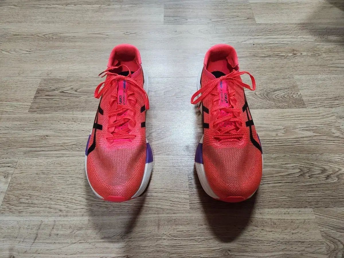 265 asics アシックス メタスピード スカイ 東京