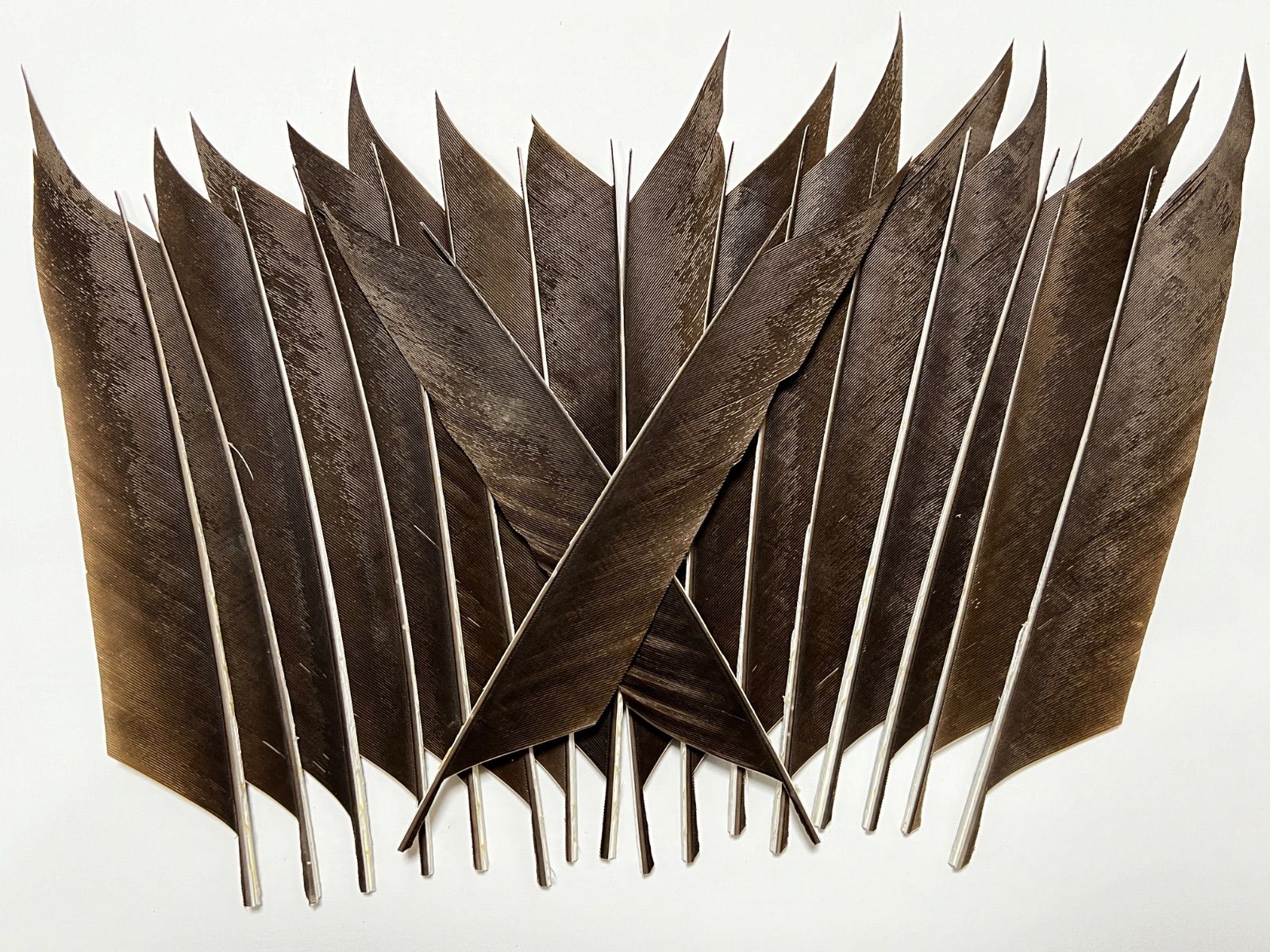 ウッドカーボン オーダー矢