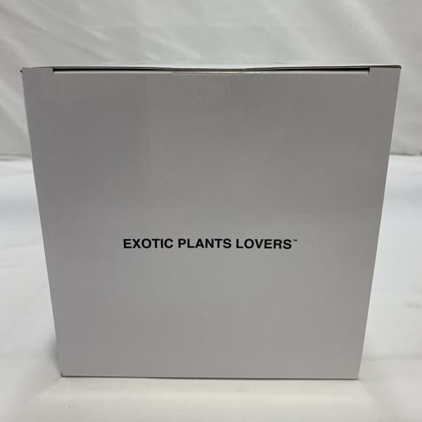 未開封)MEDICOM TOY × ファッション BOTANIZE VCD Euphorbia obesa