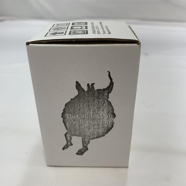 開封)OZWRT TheCaudexMan PachypusMan SSサイズ 本物 フィギュア[19