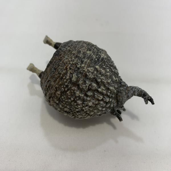 中古】開封)OZWRT TheCaudexMan PachypusMan SSサイズ フィギュア[19