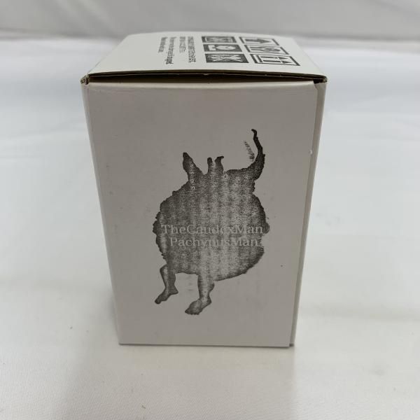 ozwrt TheCaudexMan キフォステンマ OZWRT TheCaudexMan ssサイズ - メルカリ