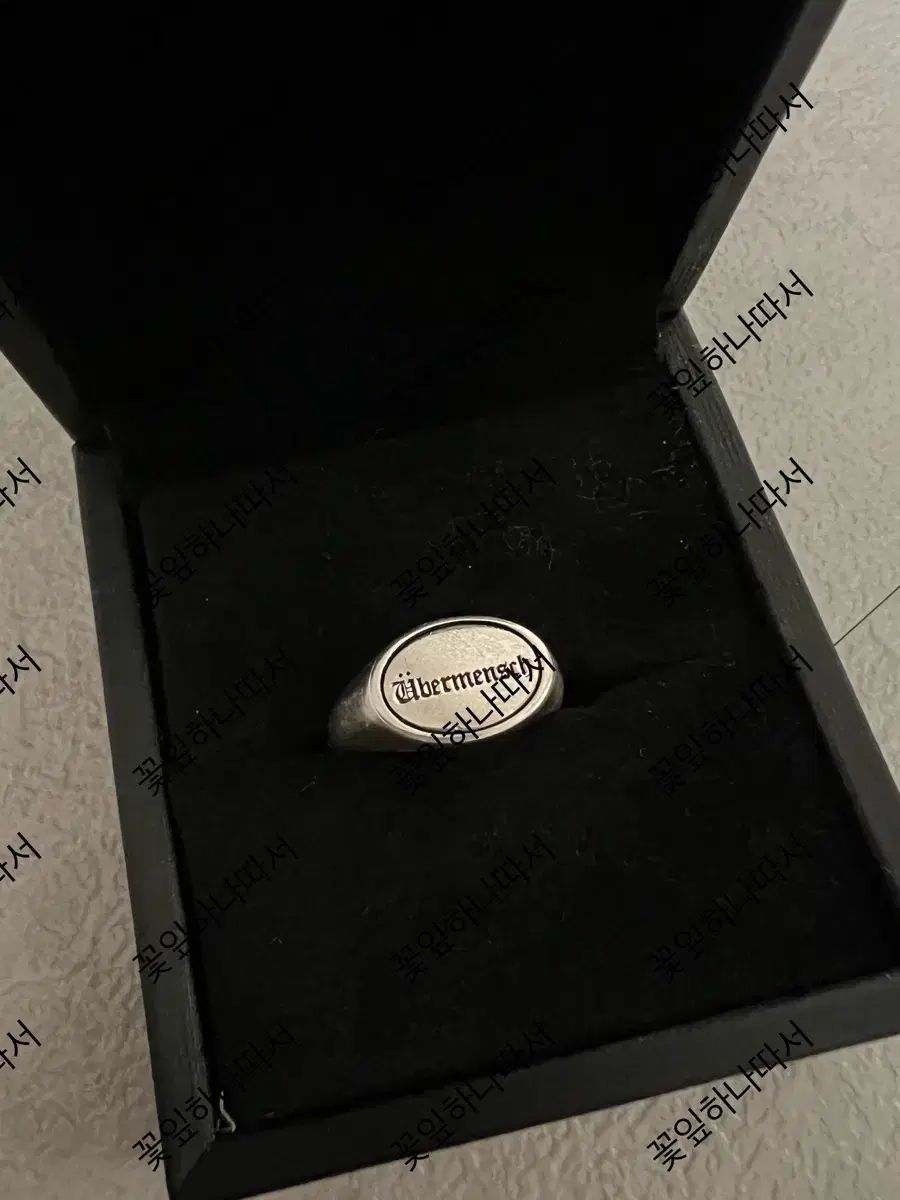 ジードラゴン海外展示 ウィーバーンマン半リング