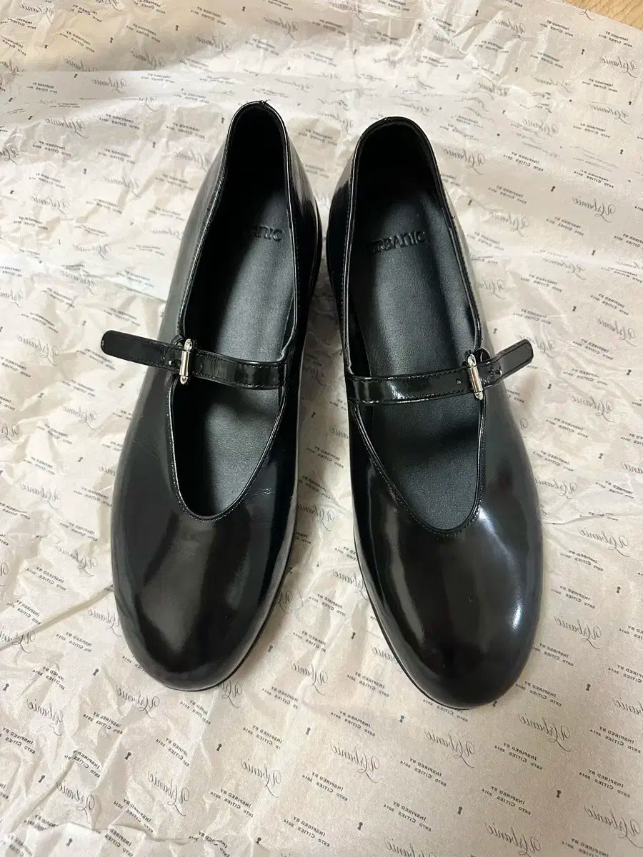 アーバニック30 メリージェーン グロシー 240