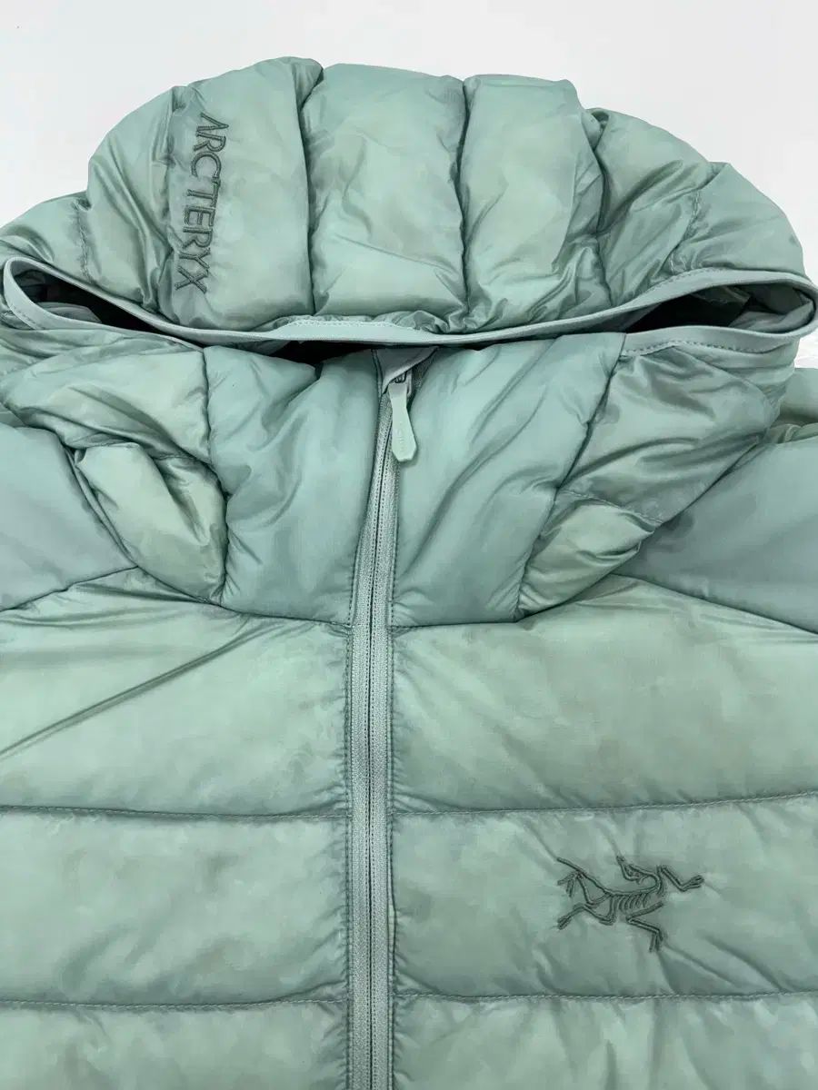 ARC TERYX Cerium アークテリクス セリウム フーディー ストーングリーン XXL