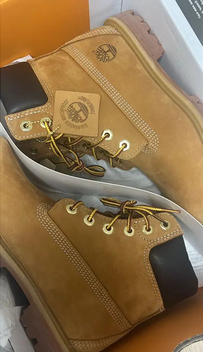 ティンバーランド 6インチ ウォータープルーフ ブーツ