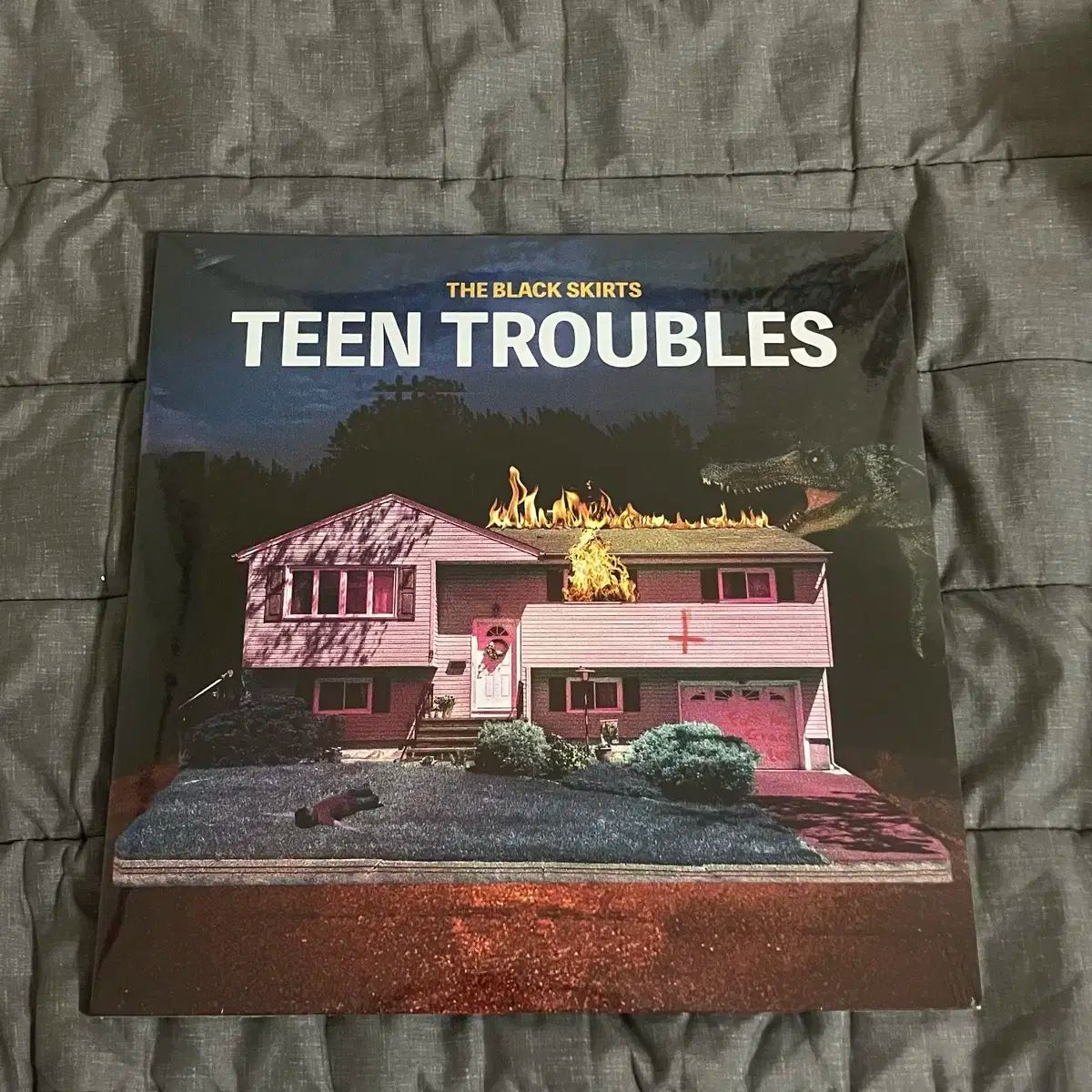 カジュアルな The Black Skirts コムジョンチマ Teen Troubles LP 【最大80％ OFF】