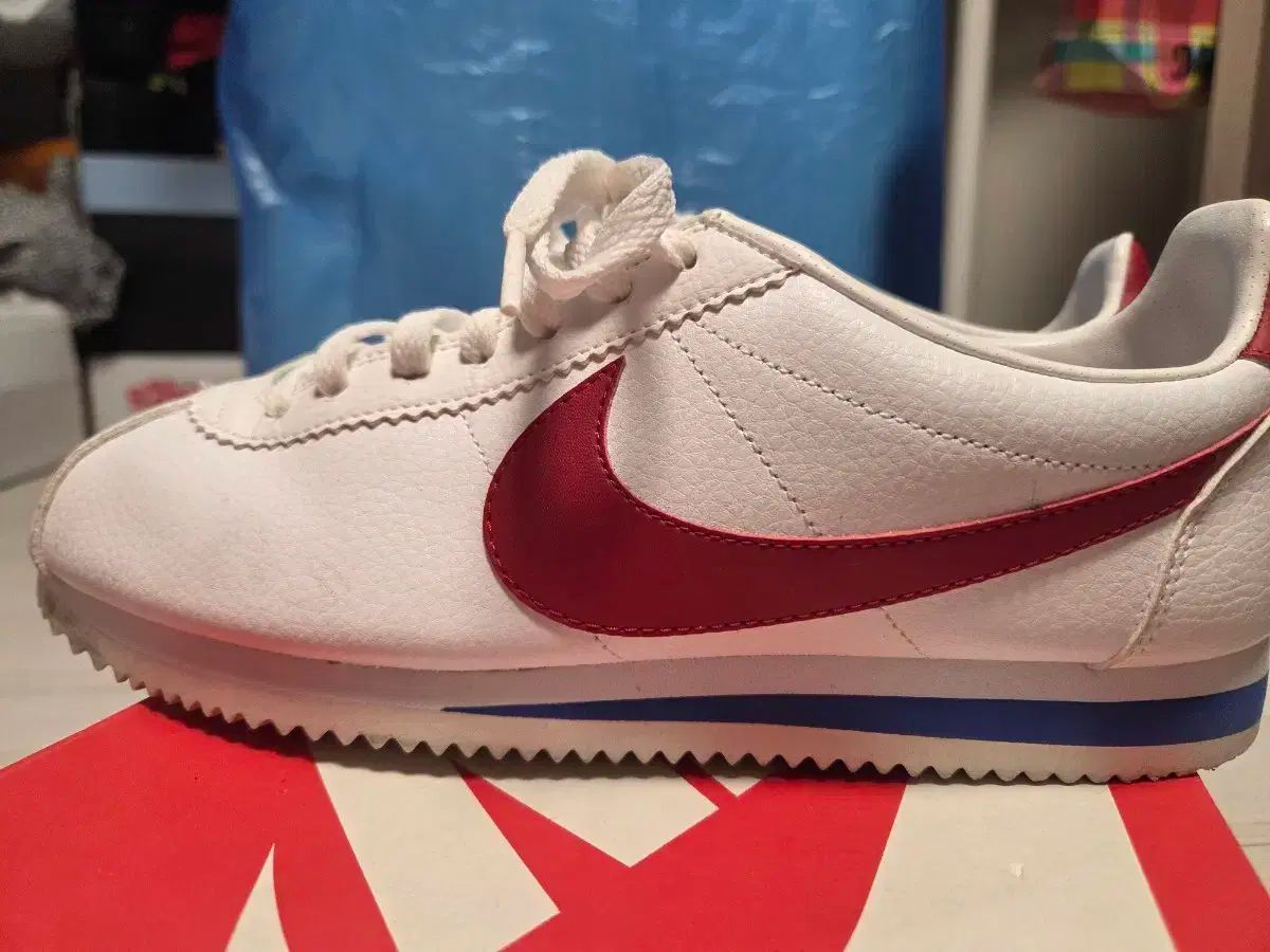 ナイキ コルテッツ フォレストガンプ 2018 270