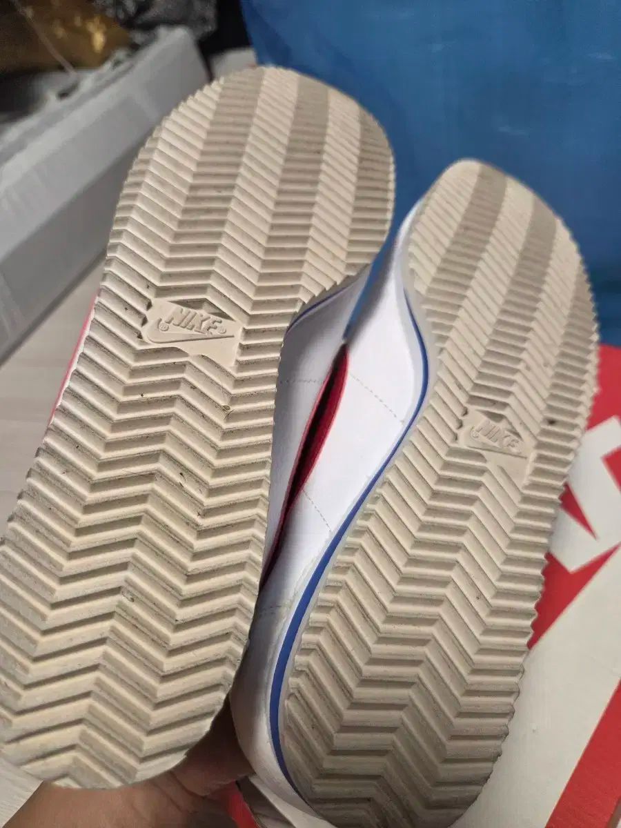 ナイキ コルテッツ