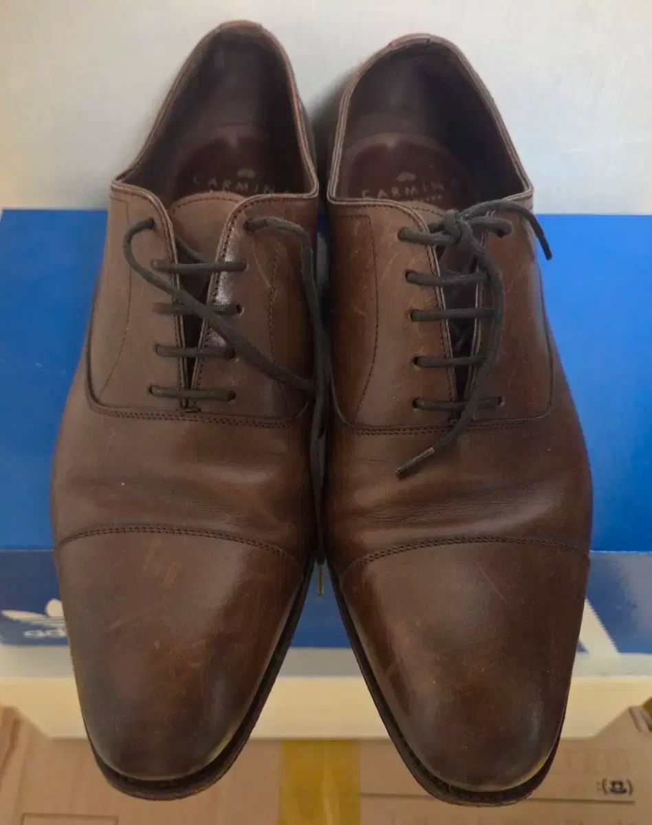 カルマルーン10085マルーン8