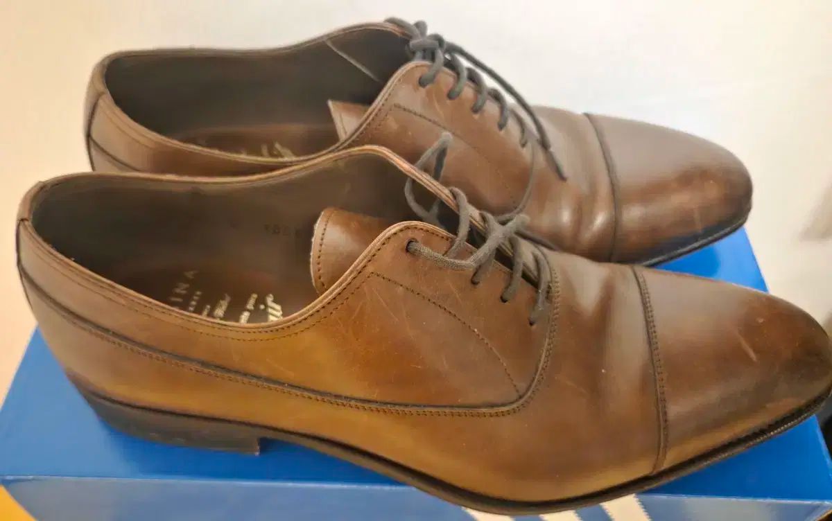 カルマルーン10085マルーン8