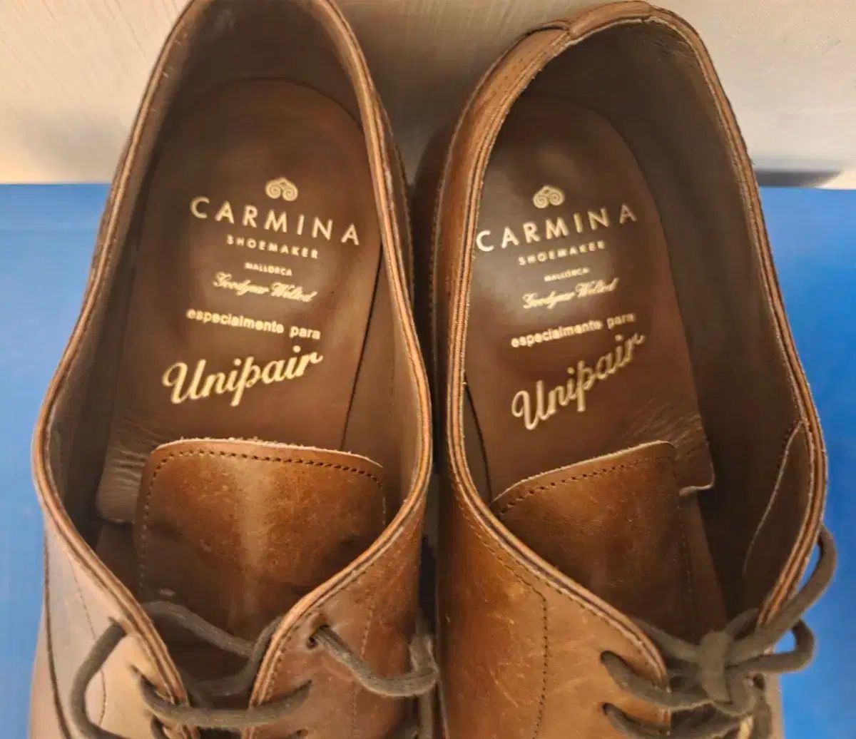 カルマルーン10085マルーン8