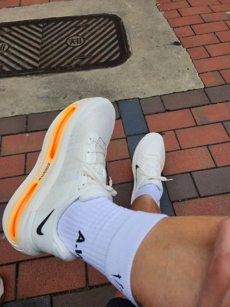 ココナッツ ミルク