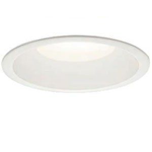 フトオアゲハ♂標本 ☆台湾産☆有名種 104mm 美麗標本状態⭕️ 入手困難