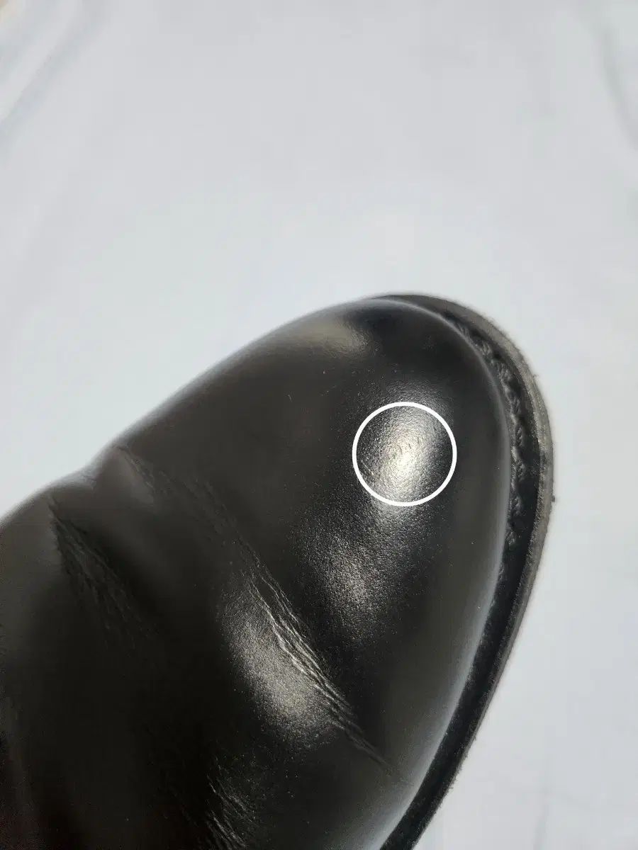 ブラックチャパラル