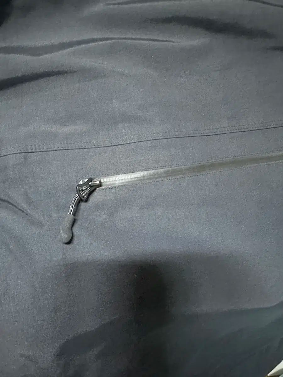 イーストローグ コラボ