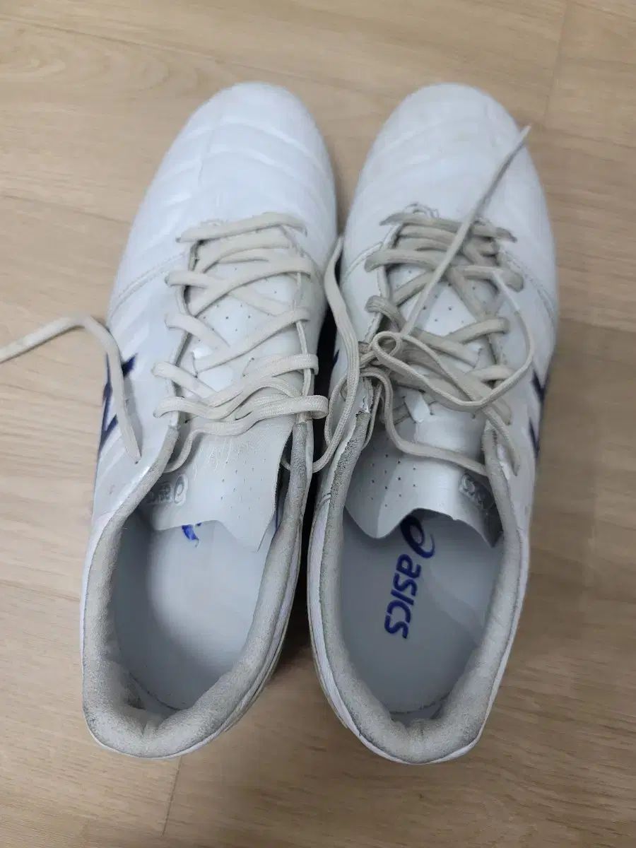 アシックス ds light ag 260 サッカーシューズ LLC-HASEGAWATOSO_COM