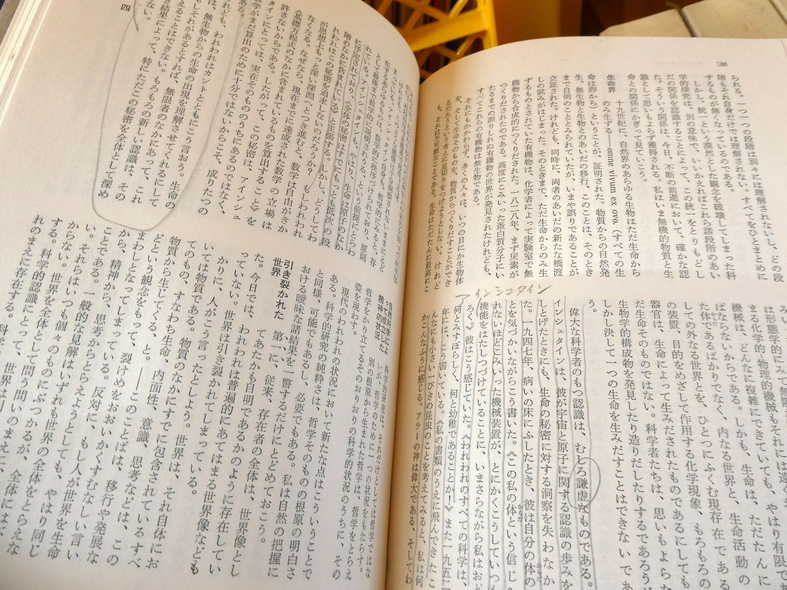  セット 世界の大思想 全45巻揃え 河出書房新社 - II 河出書房 11冊 合計56冊セット 古書 全巻セット 思想 哲学 全巻 文学 小説 本