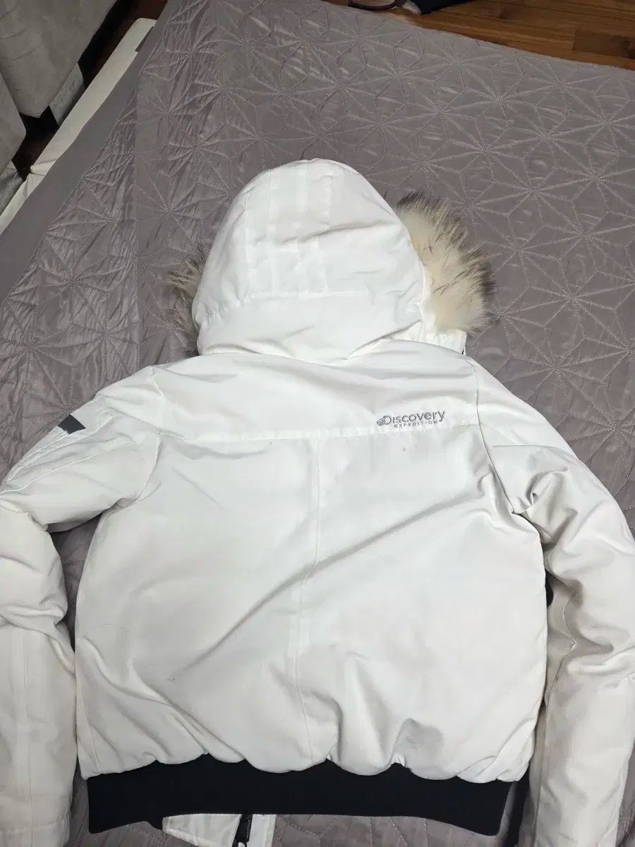 DISCOVERY レディース ダウン