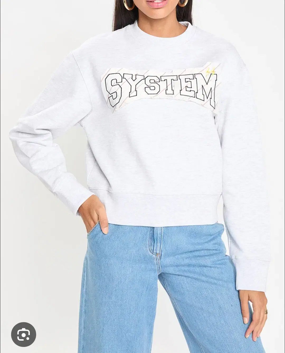 The HANDSOME SYSTEM 2025 グラフィック 刺繍 レタリング クロップド スウェット Fサイズ