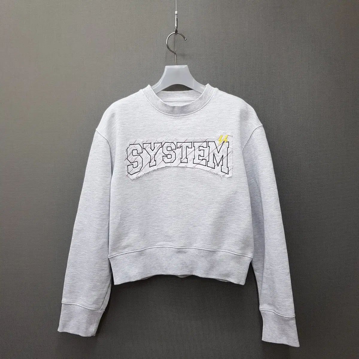 The SYSTEM 2025 グラフィック 刺繍 レタリング クロップド スウェット Fサイズ