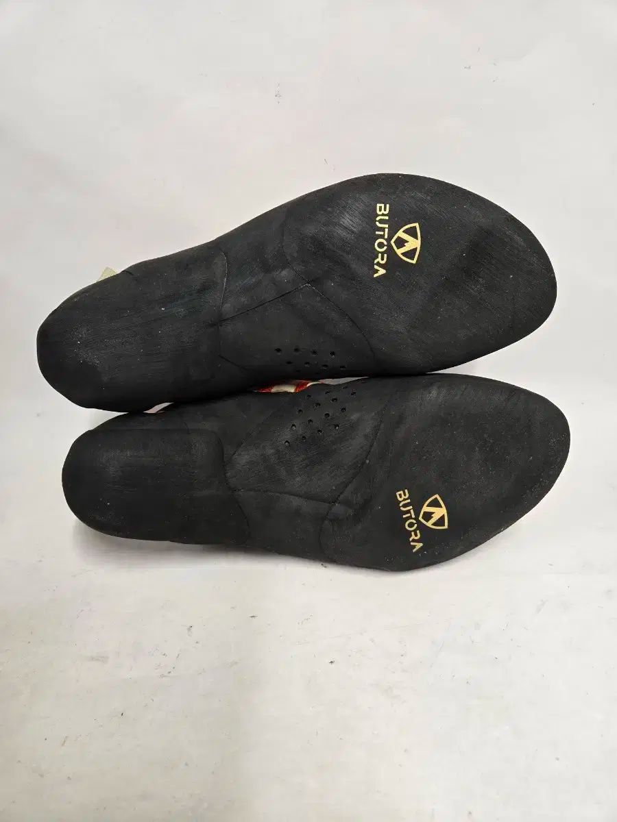 ブラック オレンジ