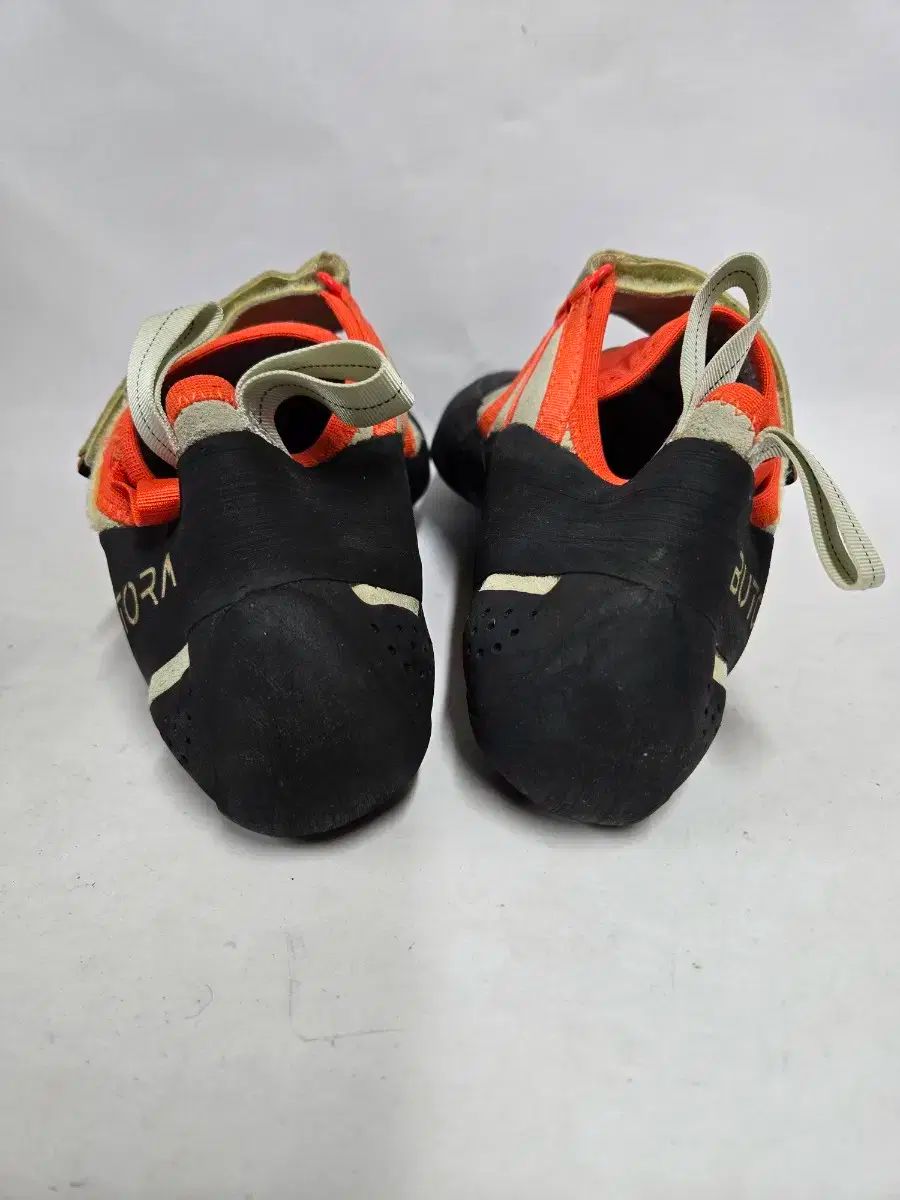 ブトラ アークス