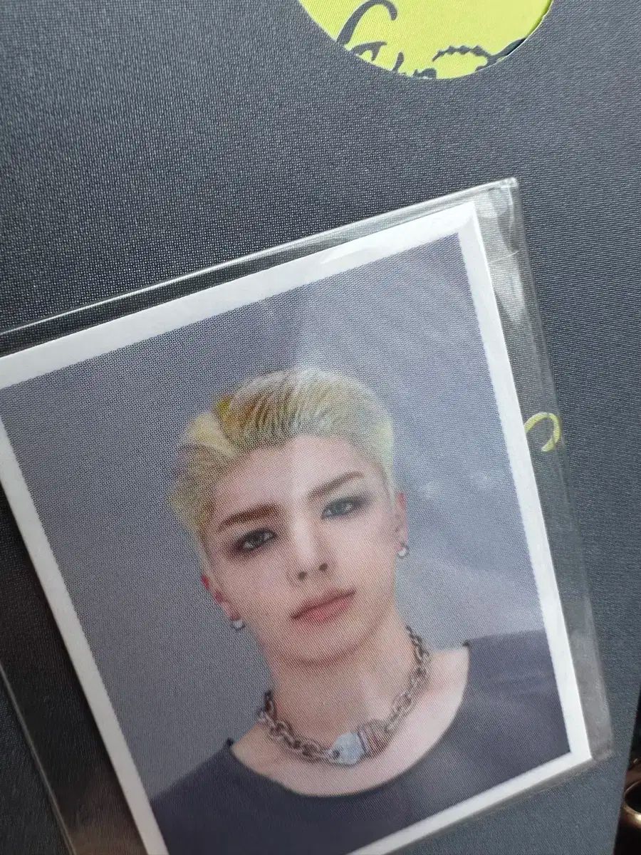 앤팀 back to life 2週目 マキ 公開番組 サノク トレカ 証明写真 セット