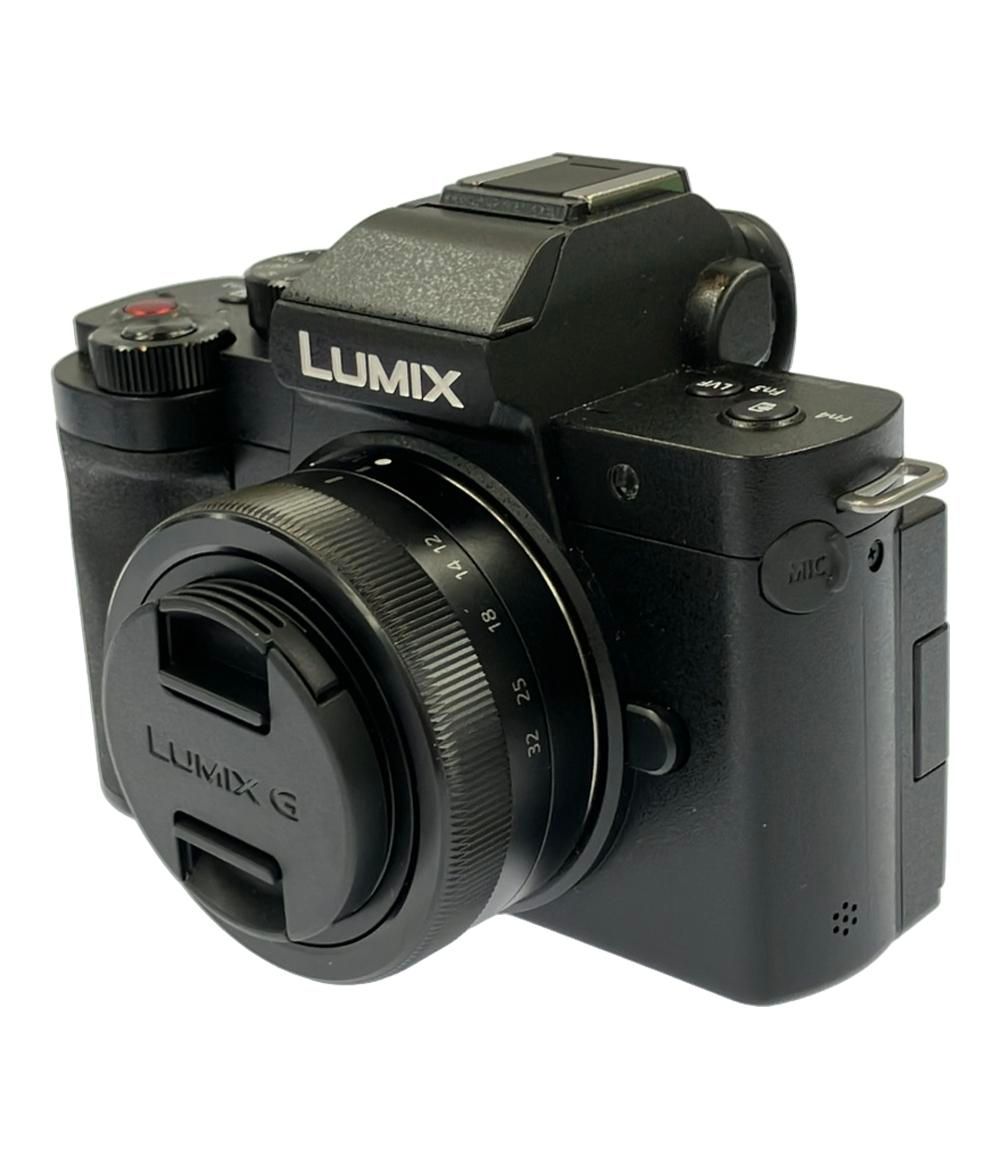 パナソニック ミラーレス一眼カメラ LUMIX G DX 100 D 標準ズームレンズキット Panasonic