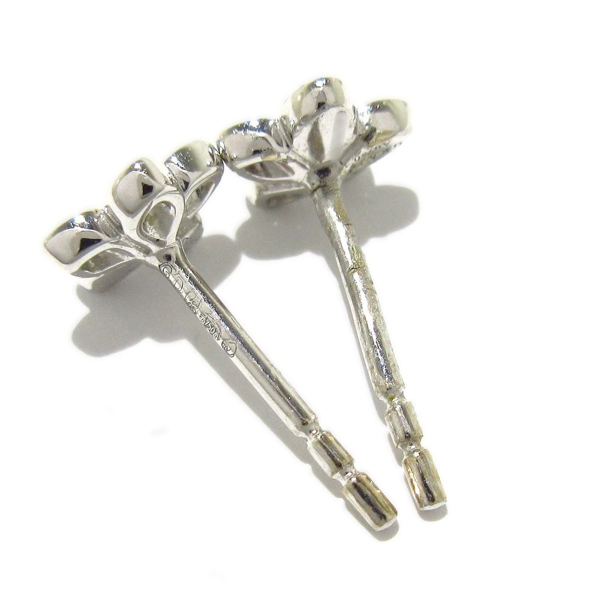 ワイルドフラワー プティ