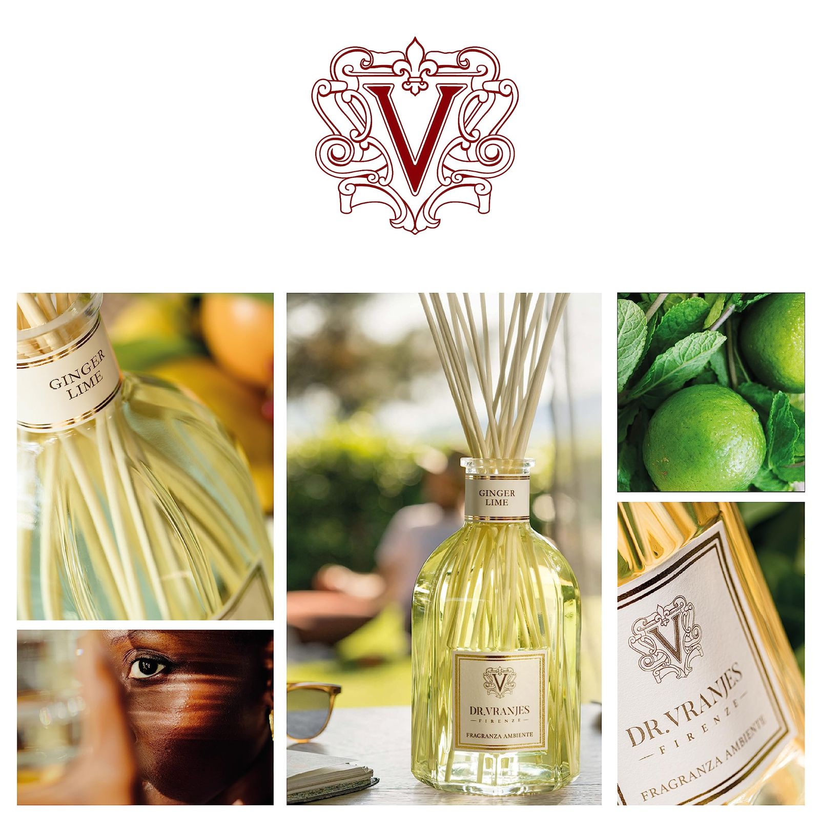 直営 DR. VRANJES ドットール ヴラニエス ディフューザー GINGER LIME ジンジャー ライム 250ml ルームフレグランス リードディフューザー エレガントなオリジナルショッピングバッグ付き メイドインイタリア シトラスフルーテ WWW_IBETON_RU