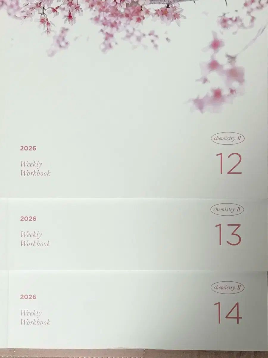 2026大学受験能力試験準備カン ジュノ 化２ 週刊誌 化よくジュース 12 13 14巻