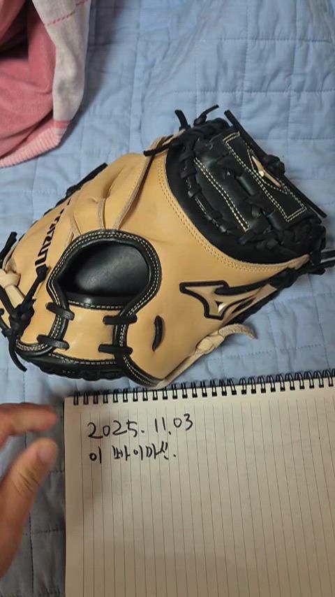 キャッチャーミット