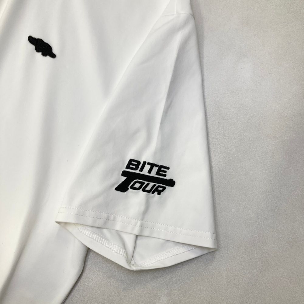 ラフアンドスウェル モデル