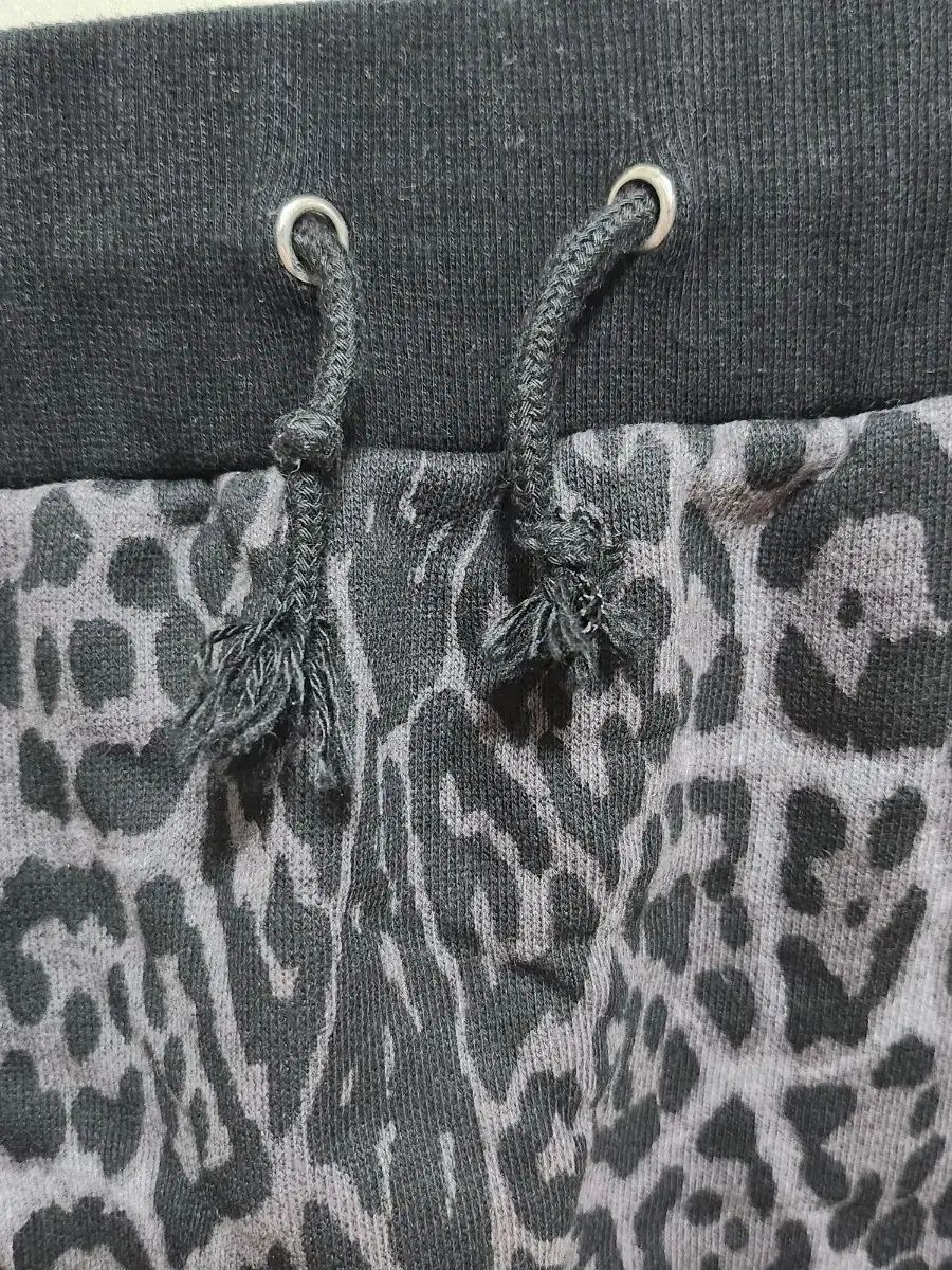 レオパード クマ