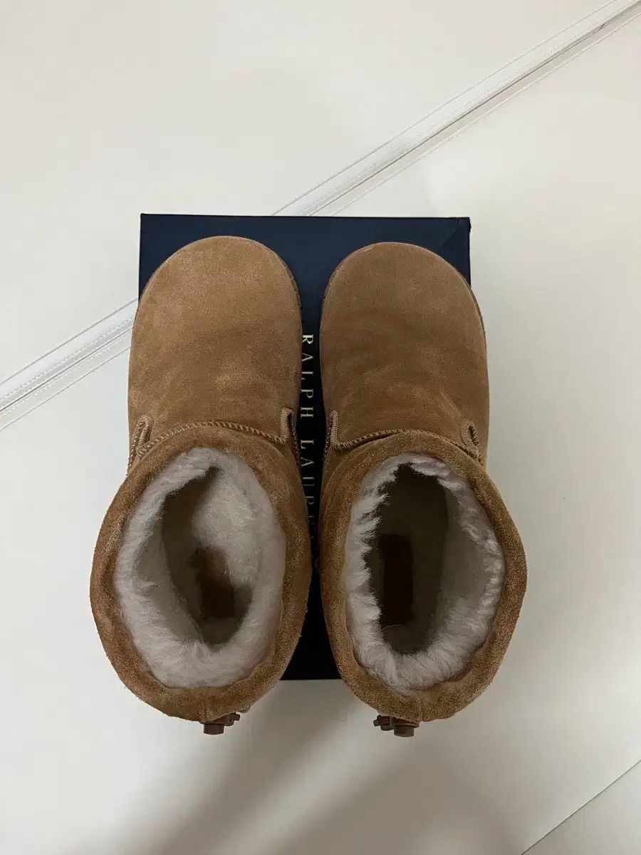 キーンチX迷テイク プロジェクト TOBOO BROWN