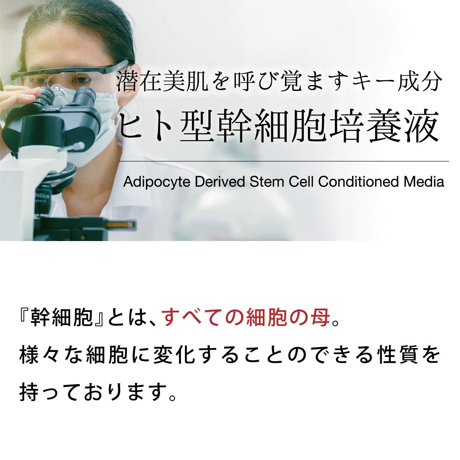 エイジングケア ヒト幹細胞