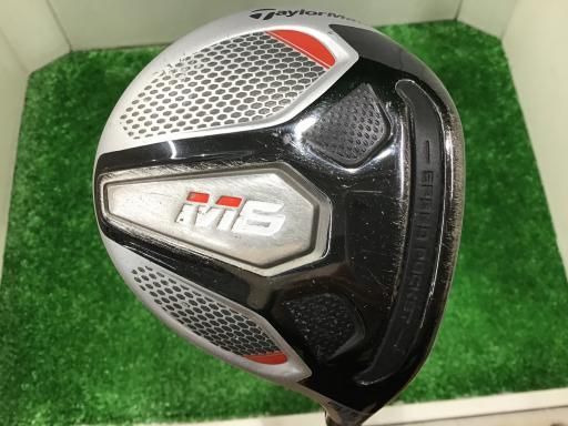 現品 アキグミ 本物 特大苗 2mほど 山採り