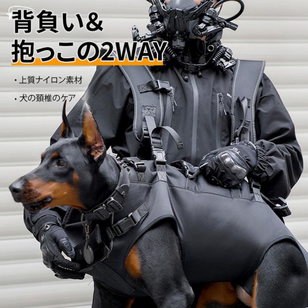 安定性を失った犬用