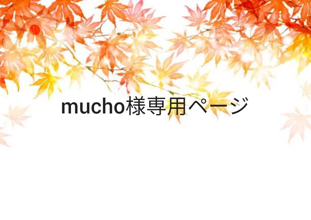 購入 mucho様専用ページ mucho様専用ページ ご購入期限11月14日まで
