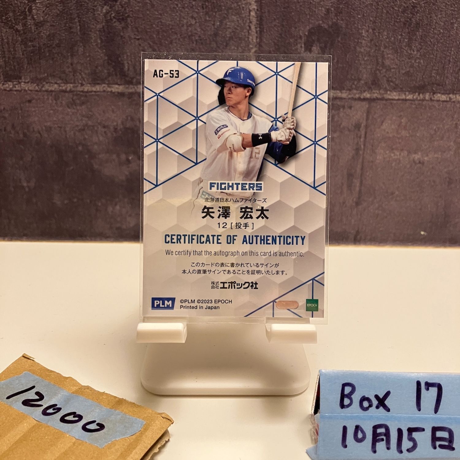 2025 Epoch 矢澤宏太 05 10 直筆サインカード 北海道日本ハムファイターズ RC ルーキー Rookie カード