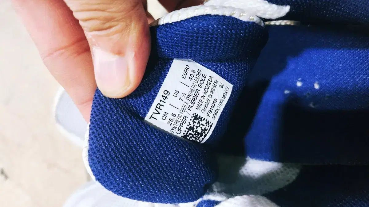  ロテリーフレンチテリー チェデ입시화 255 ss級 その他 卓球