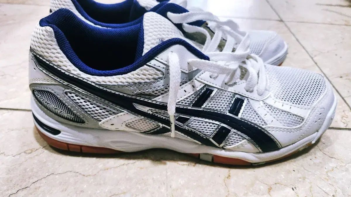 ロテリーフレンチテリー チェデ입시화 255 ss級