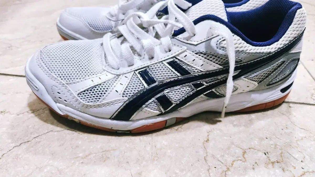 ロテリーフレンチテリー チェデ입시화 255 ss級