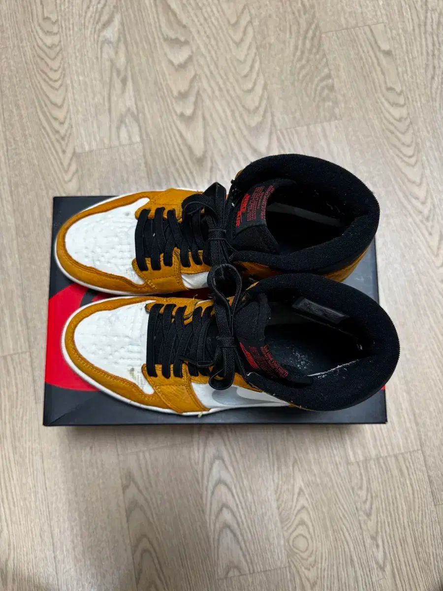 ジョーダン 1 エレメント ゴアテックス ライト カリー