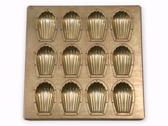 裁断済】プロフェッショナル腎臓病学 ショップ